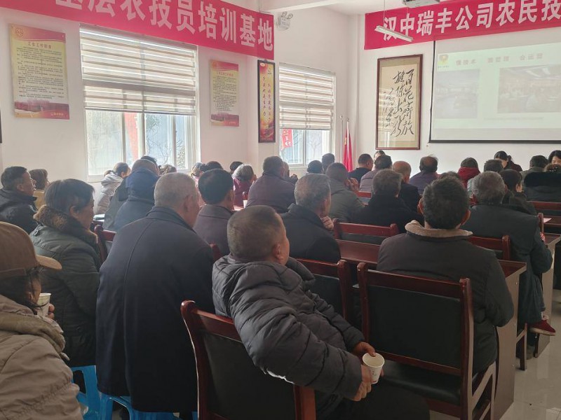 汉中市瑞丰农民技术培训田间学校 2024年学院总结表彰暨2025年冬春元胡技术指导观摩交流会